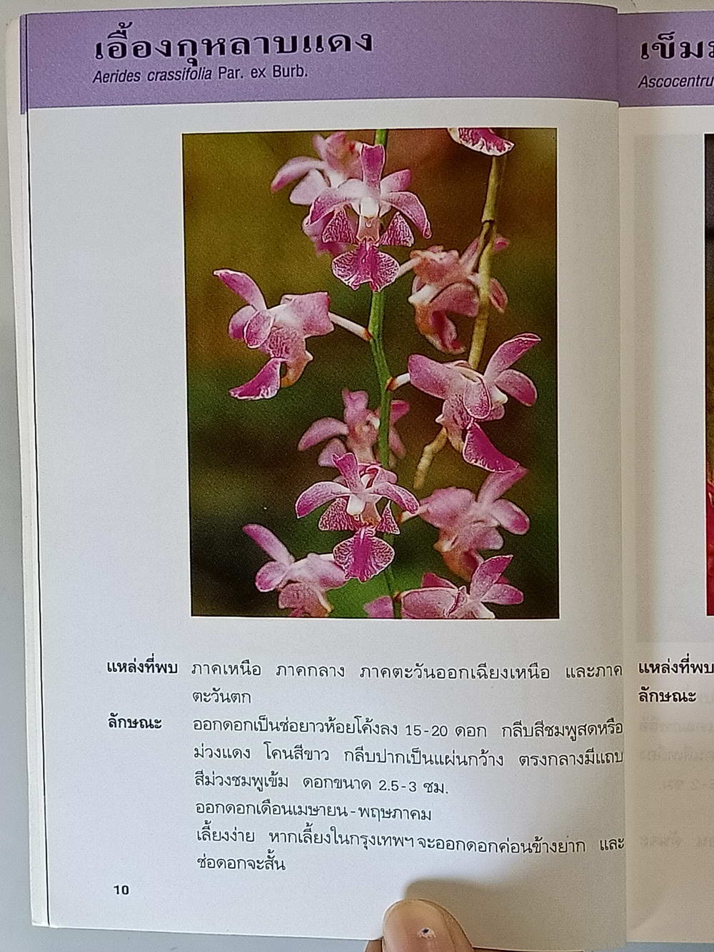 หนังสือมือสอง 214 คู่มือคนรักต้นไม้"กล้วยไม้ไทย" ให้ข้อมูลโดยละเอียดในการปลูกพืชกล้วยไม้ ความหนา 94 หน้า