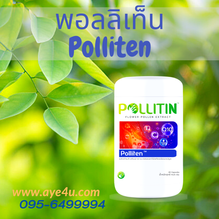 พอลลิเท็น Polliten