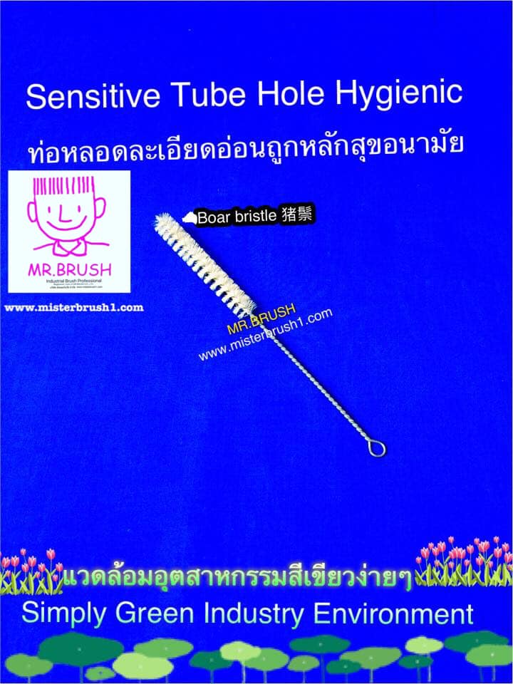 แปรงขนหมูป่าBoar bristle