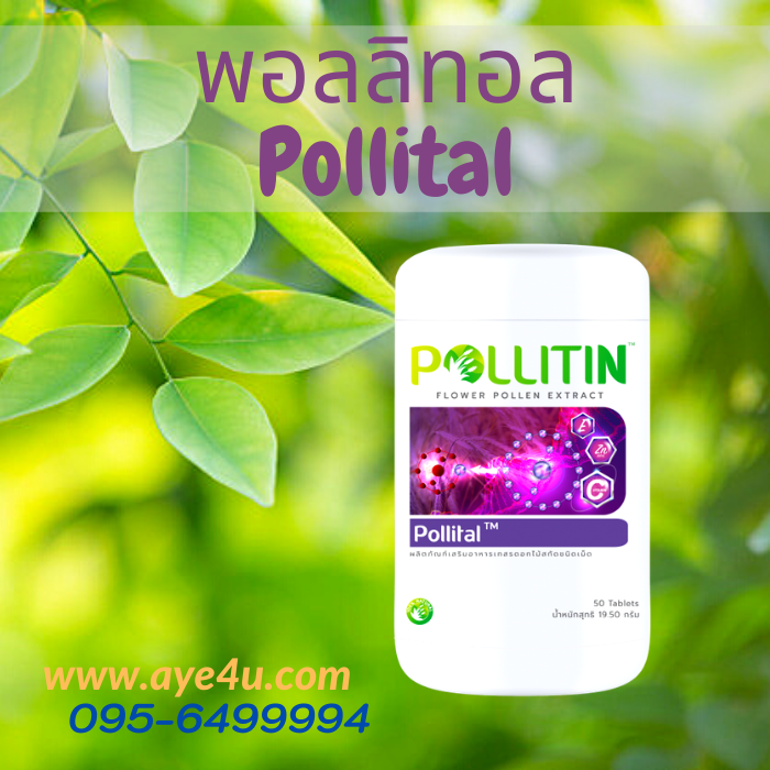 พอลลิทอล Pollital