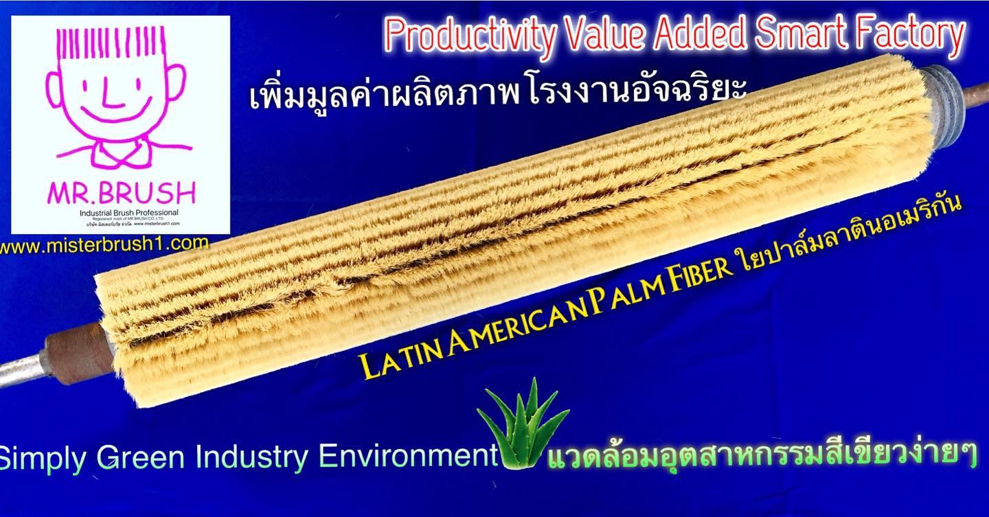 แปรงกระบอกใยพืชเม็กซิกัน