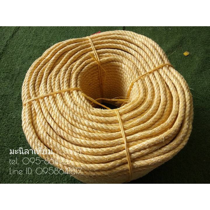 เชือกมะนิลาเทียม 10 mm. เชือกพันต้นไม้ ความยาว 200 เมตร ทนทาน ไม่ขึ้นรา พร้อมส่ง