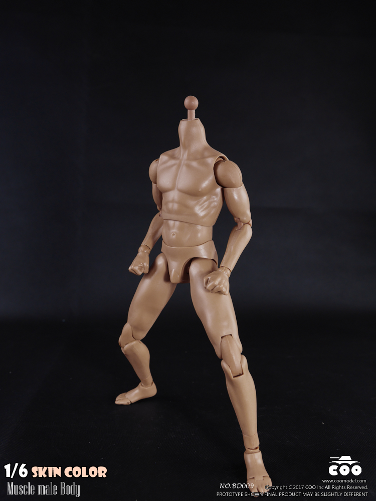 COOMODEL BD009 Standard Muscle Arm Body