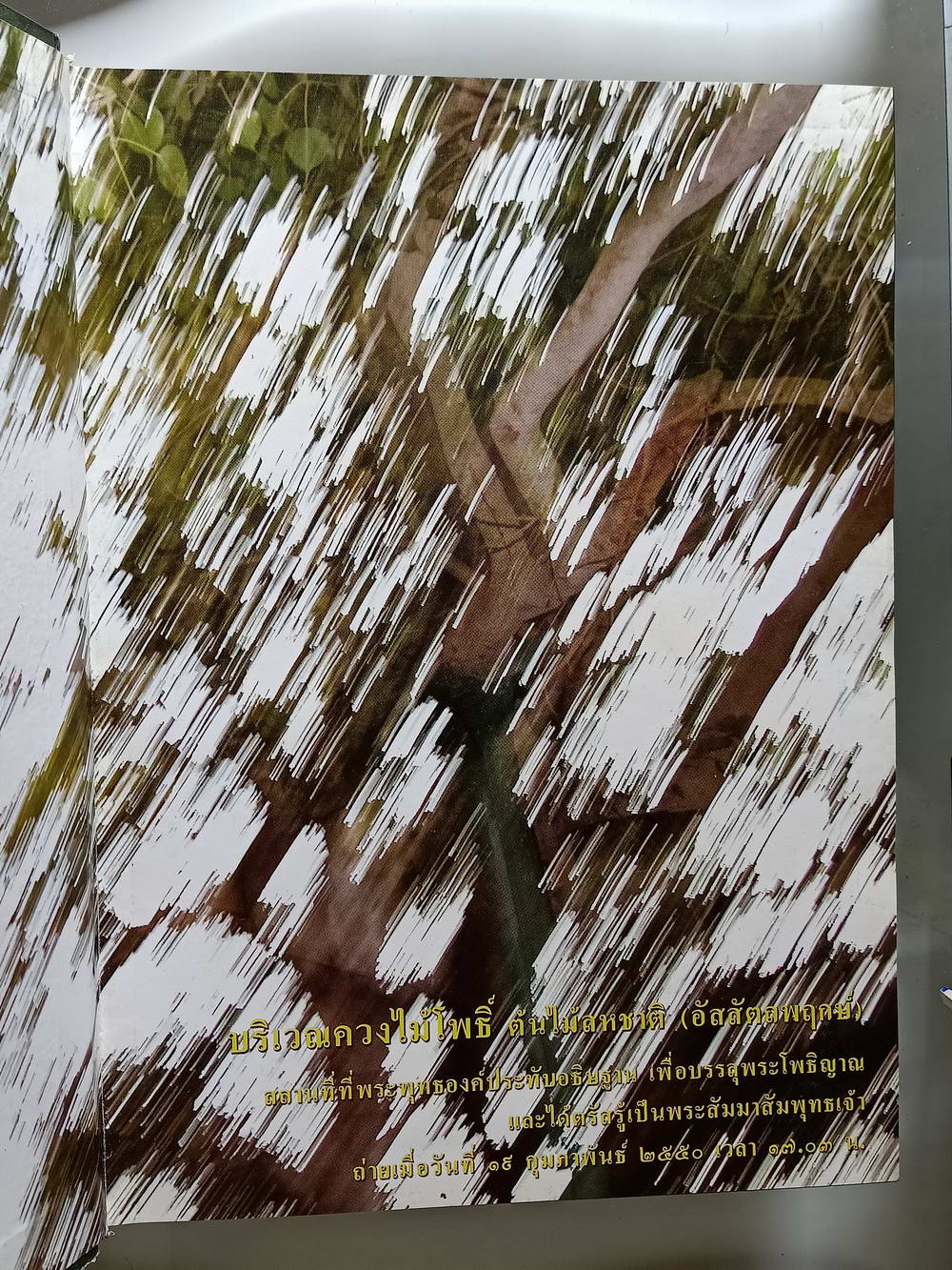 หนังสือมือสอง 223 "สวดมนต์แปล" ทำวัตร พระปริตร พระสูตรที่สำคัญ และศาสนพิธี ความหนา 324 หน้า