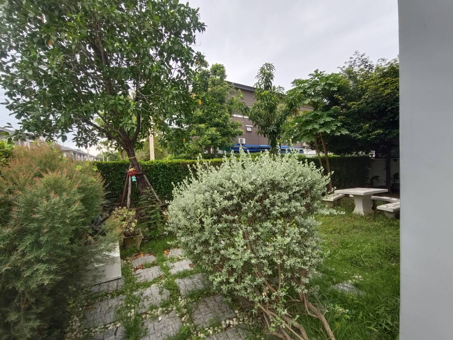 บ้านเดี่ยว 2 ชั้น สัมมากร ชัยพฤกษ์-วงแหวน 2 ลำโพ ถ.345 ถ.ชัยพฤกษ์ บางบัวทอง นนทบุรี บ้านหลังมุม ต้นโครงการ ใกล้คลับเฮ้าส์