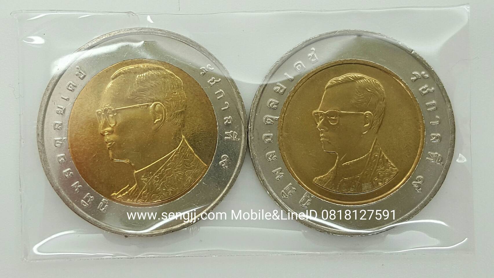 10 บาท 2 สี พ.ศ.2551 หัวเล็ก+หัวใหญ่