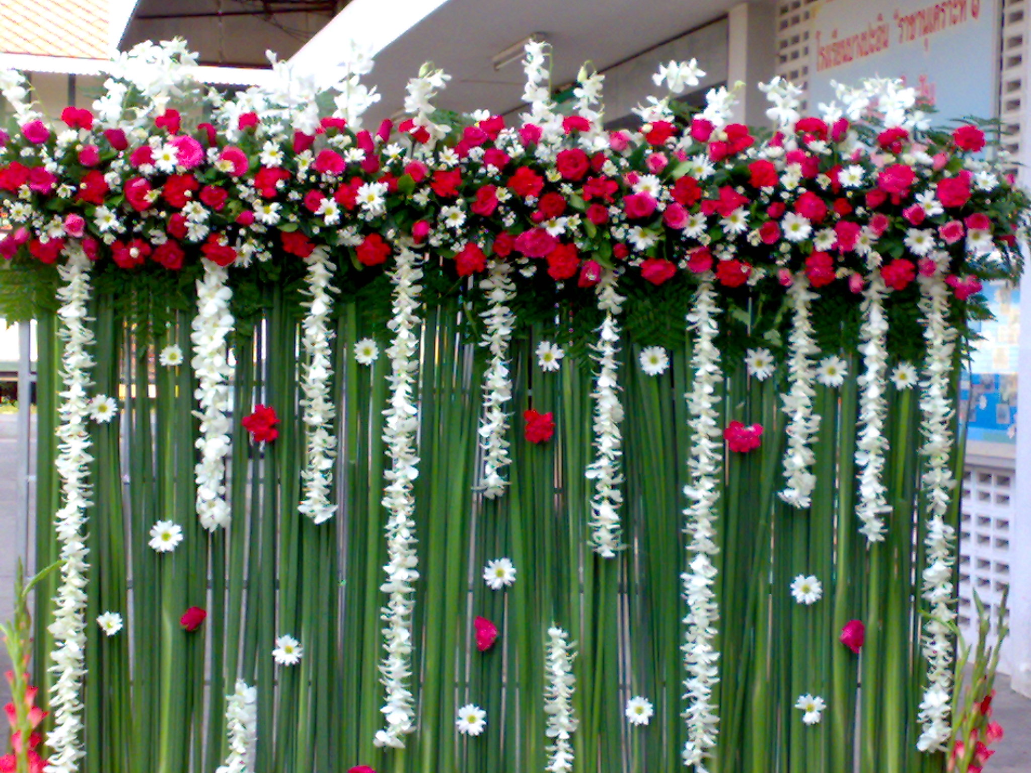 ซุ้มถ่ายรูป ธีมงาน ชมพู