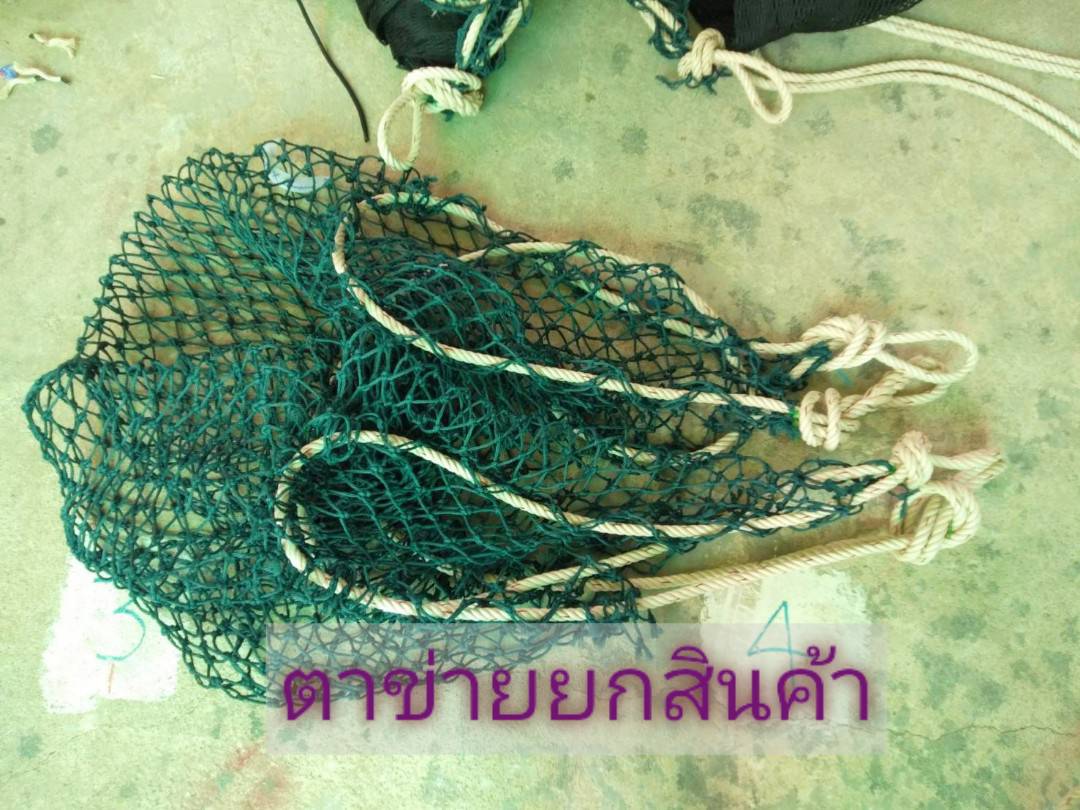 ตาข่ายยกของ ตาข่ายยกของเอนกประสงค์
