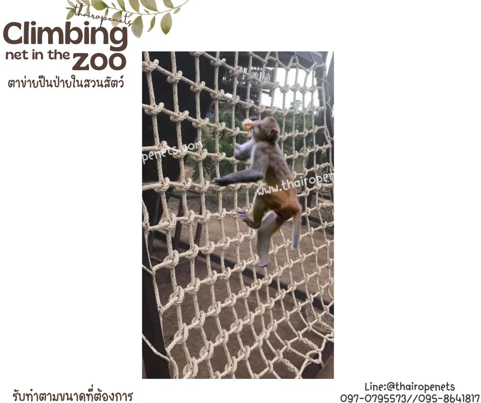 ตาข่ายปีนป่ายในสวนสัตว์ Climbing net in the zoo ตาข่ายเชือกใยยักษ์ถักปมปีนป่ายรับน้ำหนักได้ดี รับผลิตและทำตามขนาด