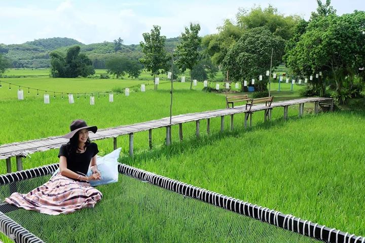 เปลนอนคาเฟ่