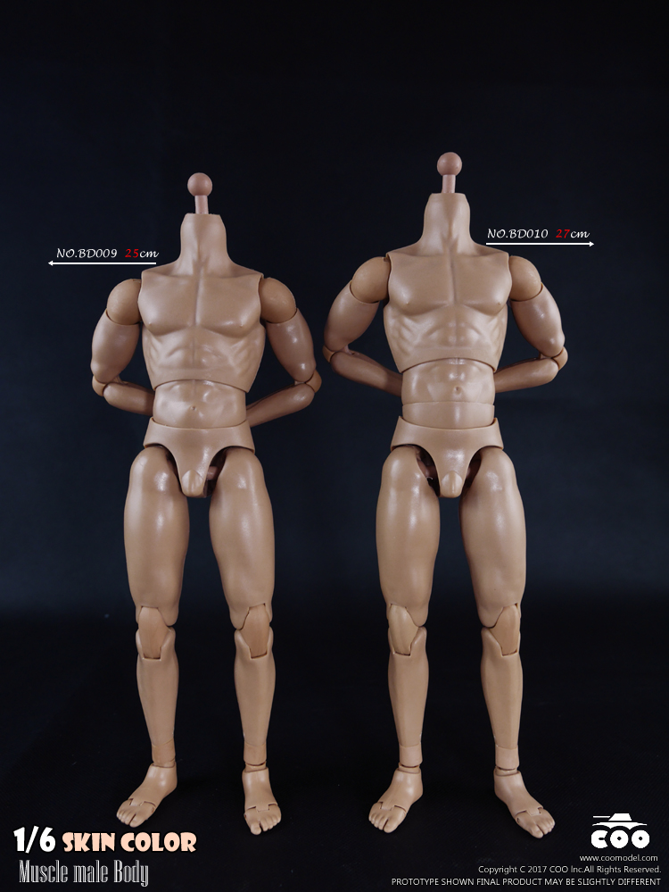 COOMODEL BD009 Standard Muscle Arm Body