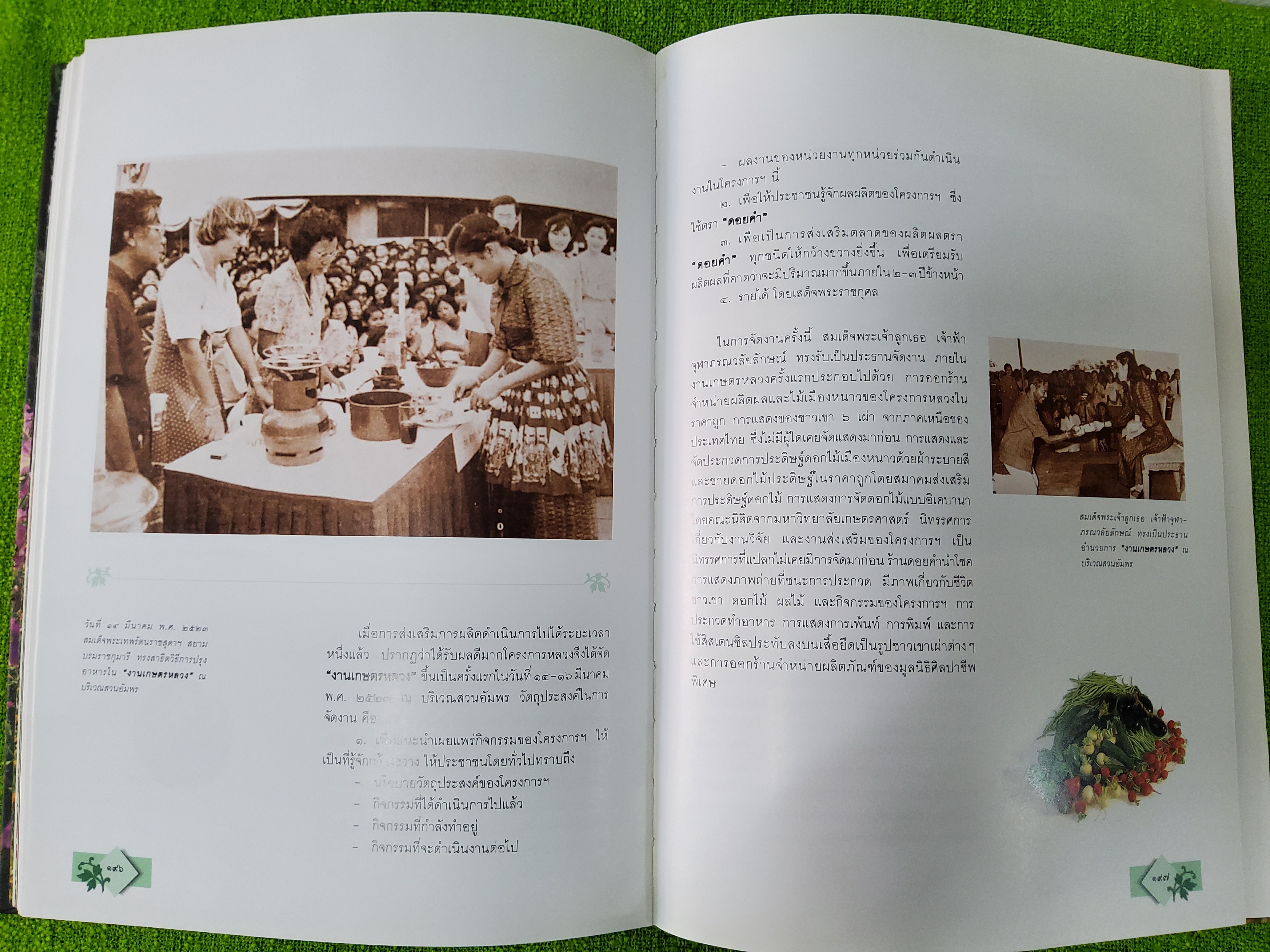 ประพาสต้นบนดอย ที่ระลึกเนื่องในมหามงคลสมัยฉลองสิริราชสมบัติ ครบ 50 ปี 2539