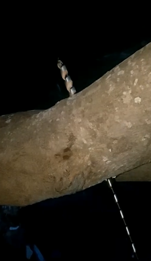 D23 ชุดดอกเจาะไม้ยาว 450 mm 12-25 mm สำหรับ เจาะต้นปาล์ม/ต้นไม้ /เจาะไม้หนา