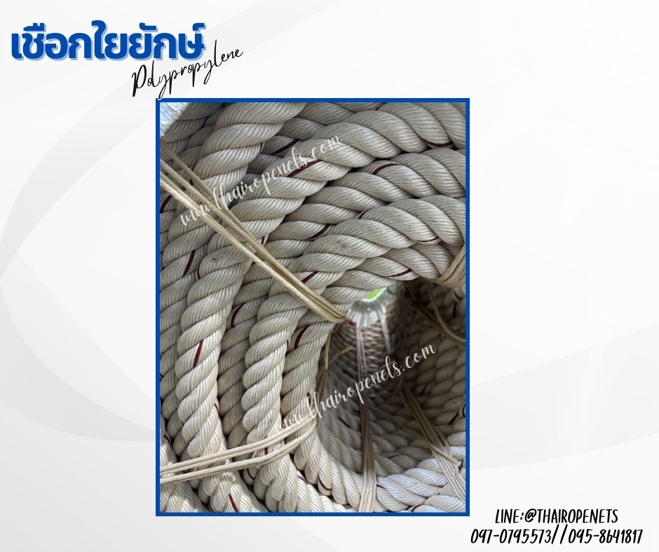 เชือกลากเรือใหญ่ เชือกใยยักษ์ Polypropylene เส้นใหญ่พิเศษ ขนาด 40 มิล เส้นใยเหนียว เกรดA แข็งแรงและทนแรงดึงมากที่สุด