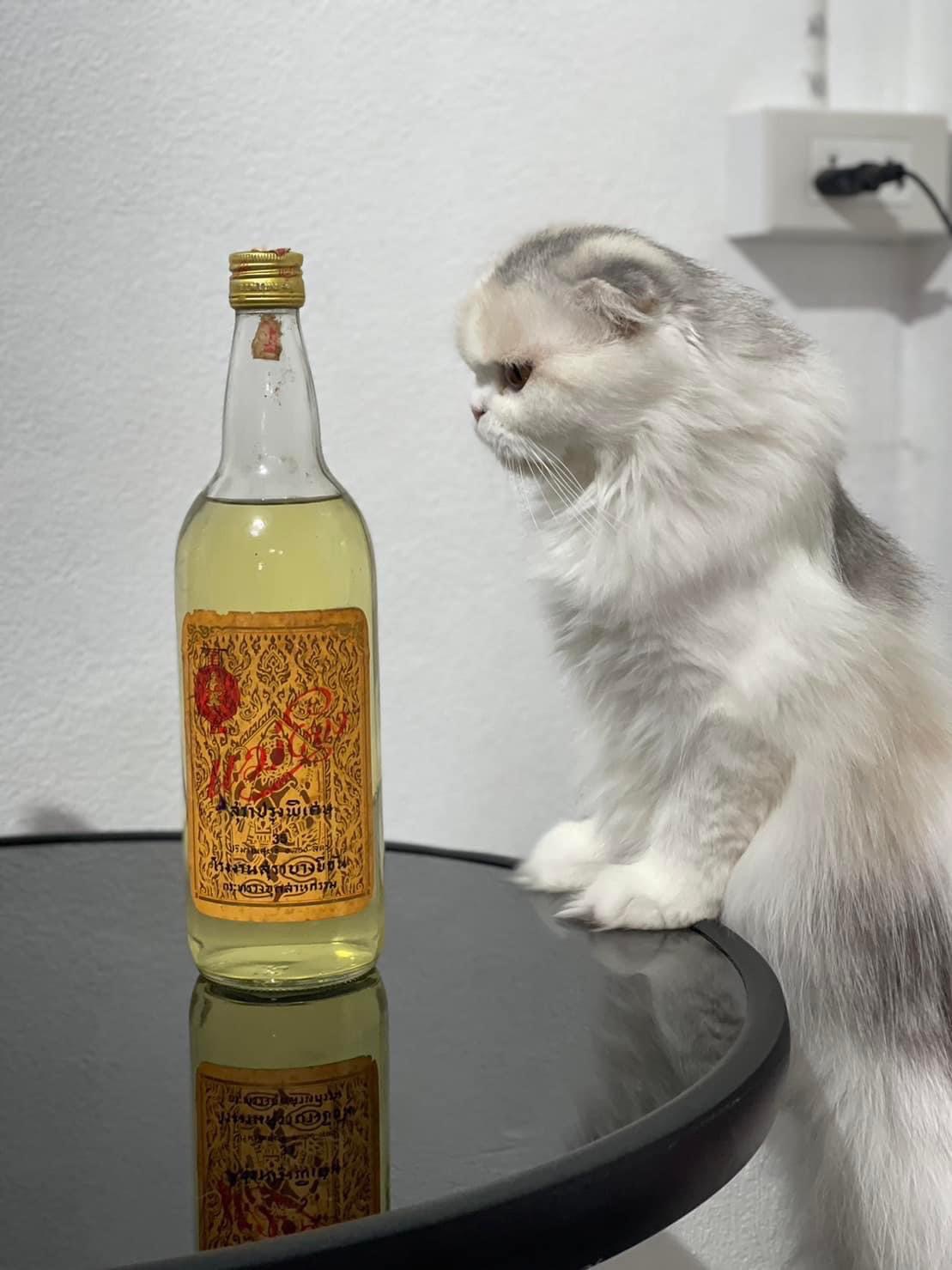 แม่โขงเก่าสภาพสมบูรณ์ แม่โขงคละปี แม่โขงกลมขนาด750ml