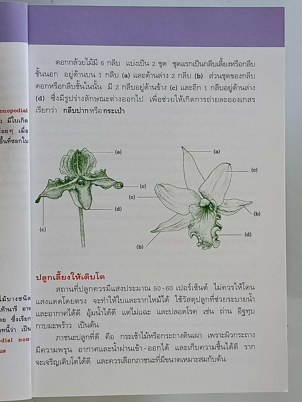 หนังสือมือสอง 214 คู่มือคนรักต้นไม้"กล้วยไม้ไทย" ให้ข้อมูลโดยละเอียดในการปลูกพืชกล้วยไม้ ความหนา 94 หน้า