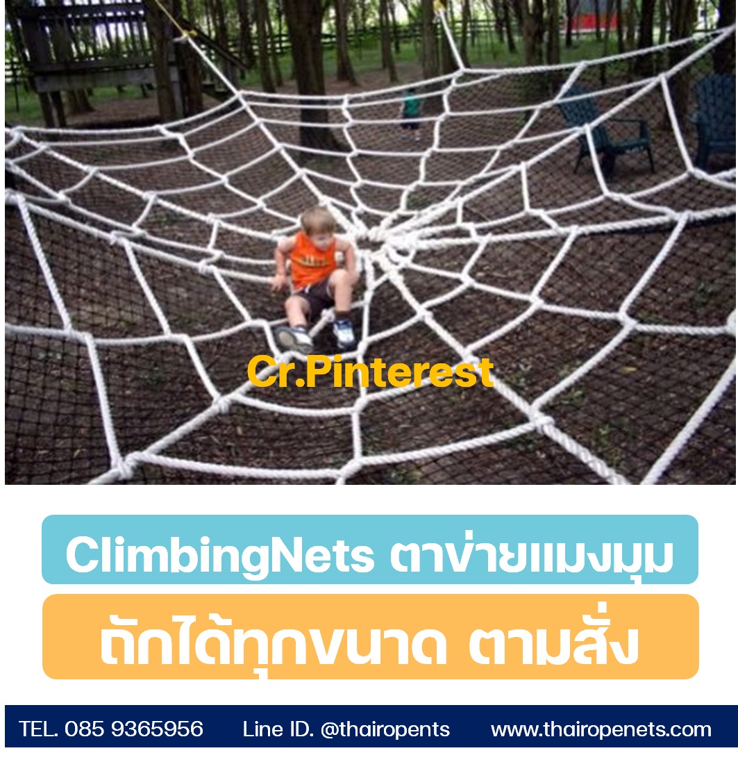 ตาข่ายตกแต่ง ใยแมงมุม