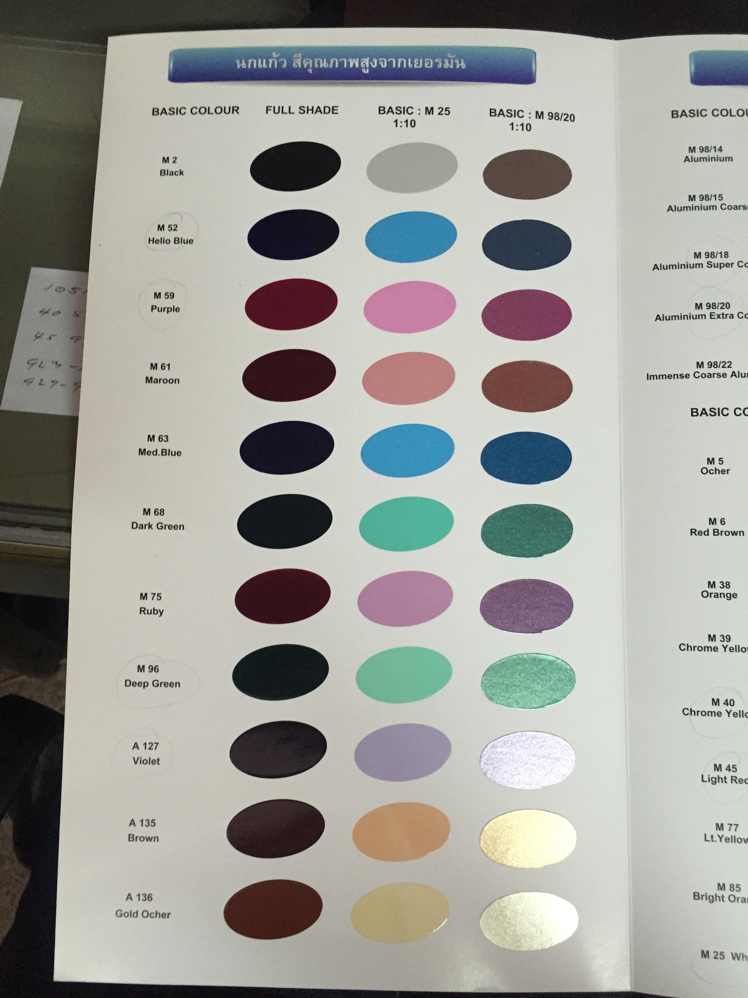 สีพ่น นกแก้ว 101