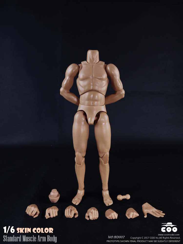 COOMODEL BD007 / BD008 Standard & High Standard Muscle Arm Body