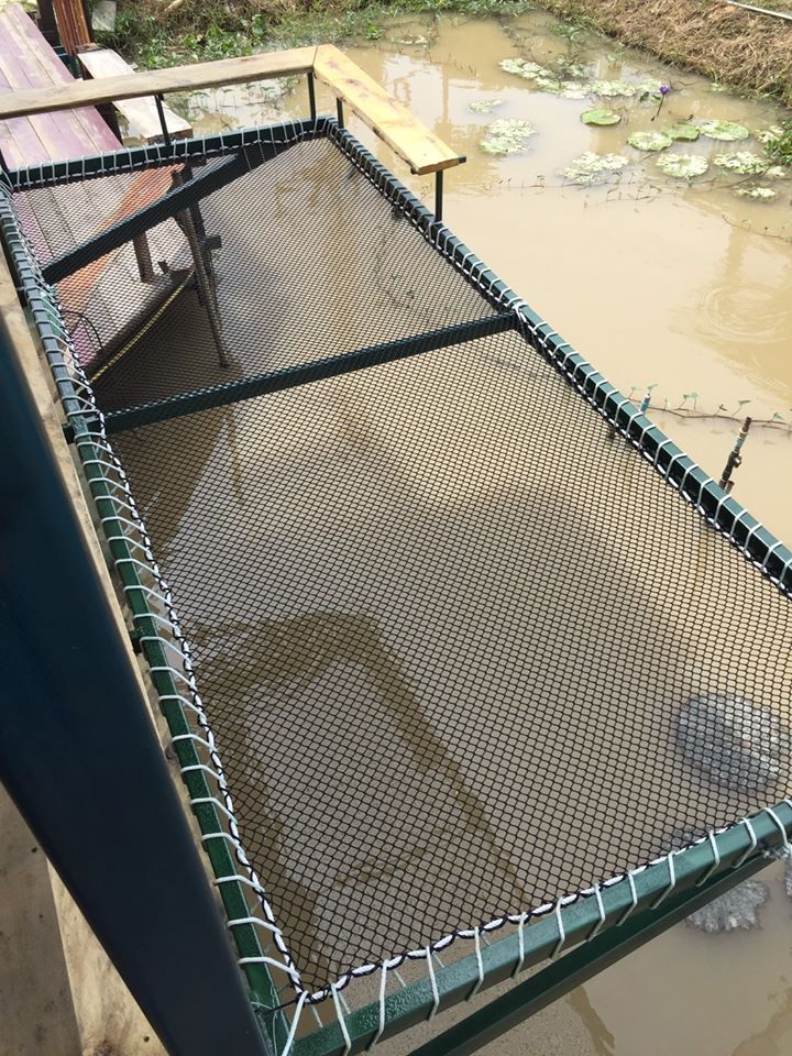 เปลนอนคาเฟ่