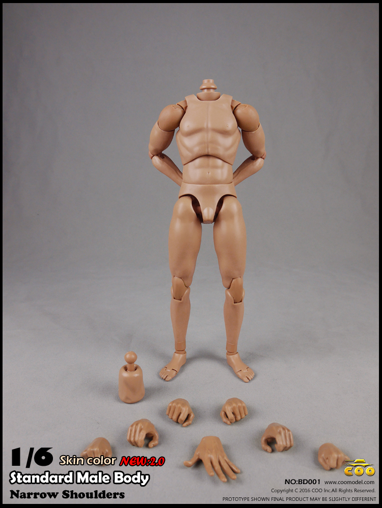 COOMODEL BD001, BD002 Narrow shoulders male Body 2.0