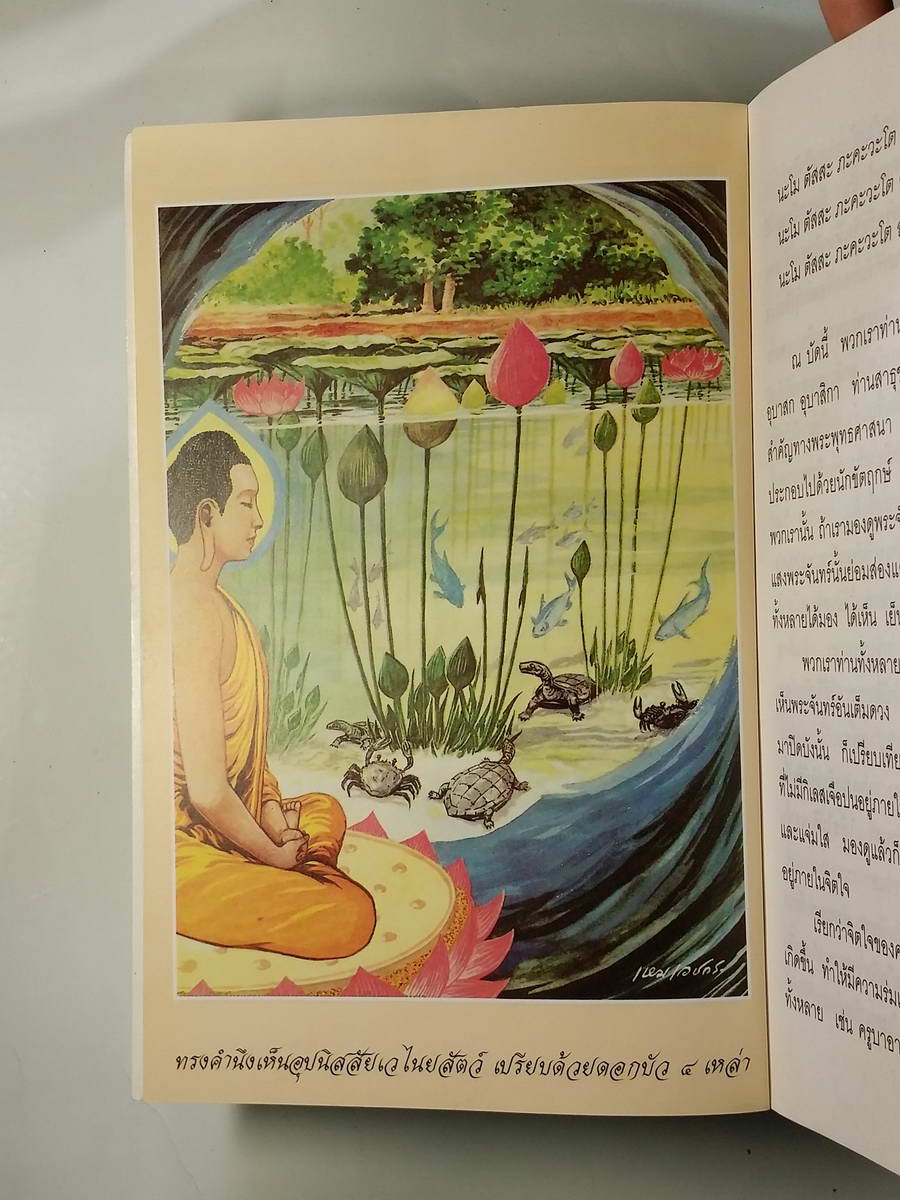 หนังสือมือสอง 253 หนังสือธรรมะ มองดูตนเอง พระอาจารย์เปลื่อน ปฌุฌาปที่โป วัดอรัญญวิเวก บ้านปง อำภอแม่แต่ง จังหวัดเชียงใหม่