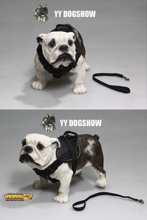 VERYHOT NO:1045 Dogshow