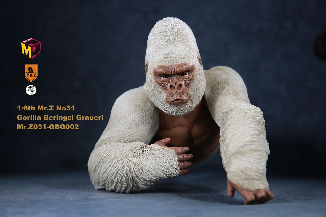 Mr.Z MRZ031-GBG001, 002 Animal Model - Gorilla Beringei Graueri (Black&White)