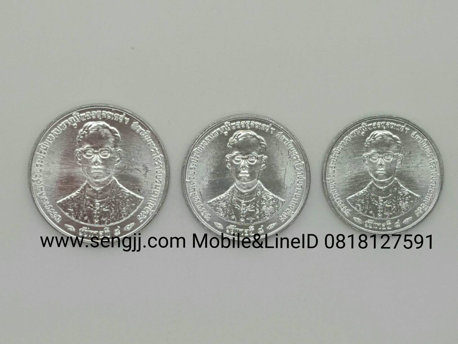 เหรียญกษาปณ์อลูมิเนีบม 50 ปี ครองราชย์ กาญจนาภิเษก พ.ศ.2539 10,5,1 สตางค์ครบชุด
