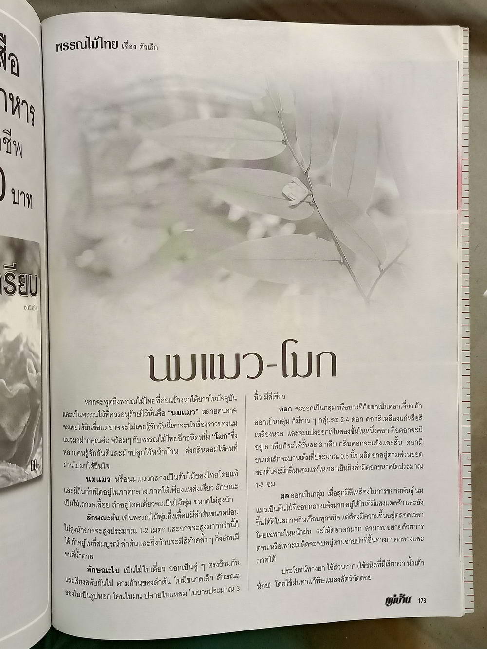 หนังสือมือสอง 055 นิตยสารแม่บ้าน ปีที่ 26 ฉบับที่ 388 ประจำเดือนกันยายน 2544 ความหนา 202 หน้า