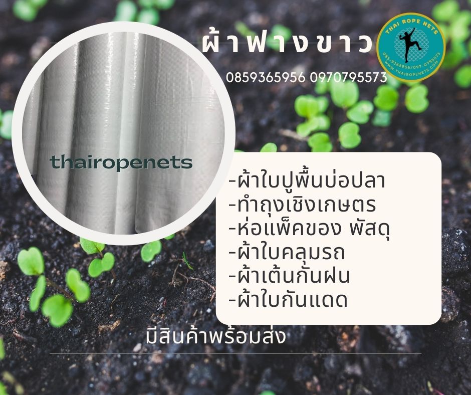 ผ้าฟางขาว ผ้าฟางขาวบริสุทธิ์ ผ้าใบคลุมเต็นท์สีขาว ผ้าใบปูพื้นสีขาว ผ้าใบปูบ่อปลา ผ้าใบกันแดนกันฝน ผ้าเต็นท์ ผ้าใบแพ็คของ ผ้าใบเชิงเกษตร ผ้าใบกันน้ำ