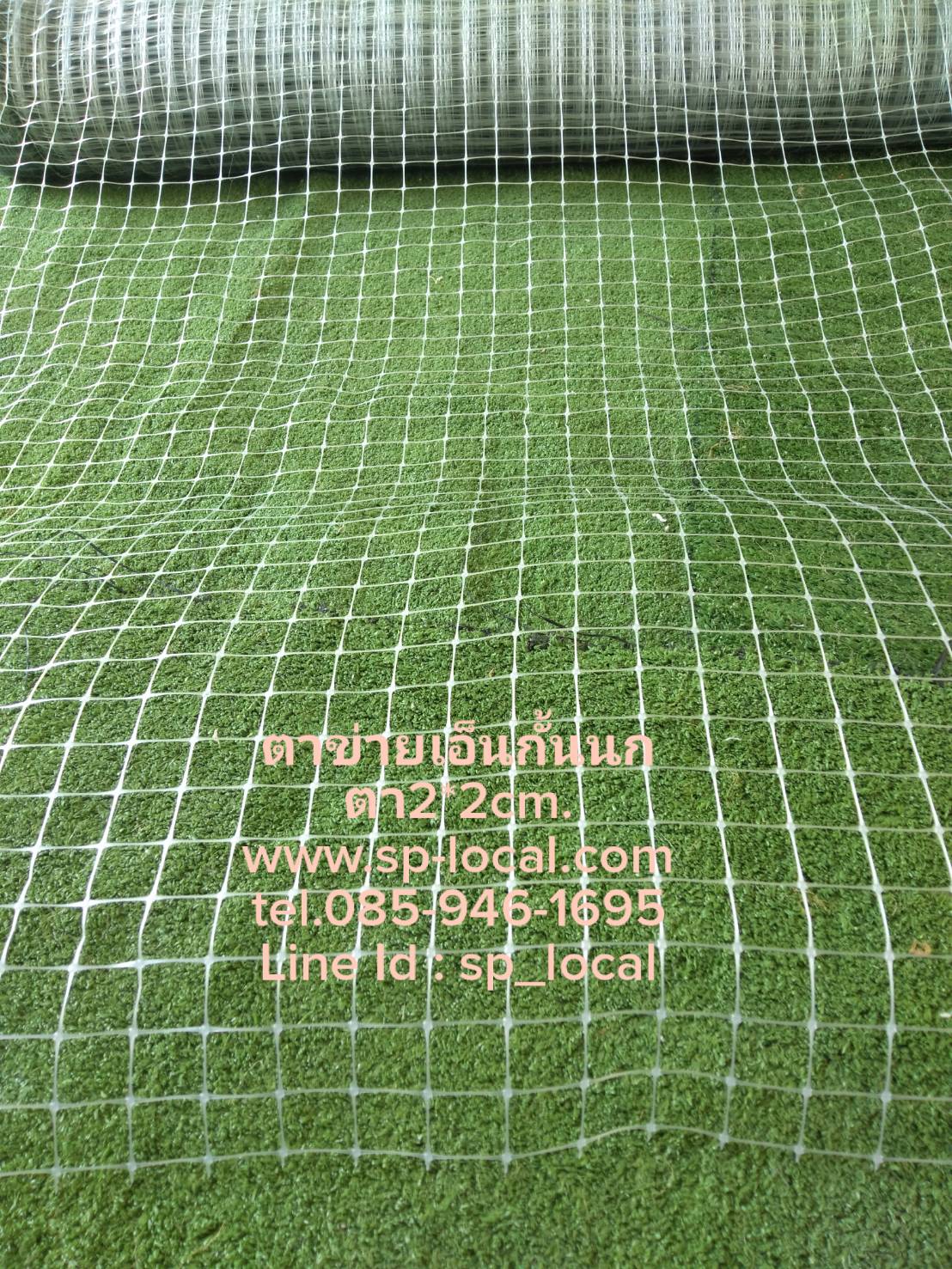 ตาข่ายเอ็นกันนก สีใส