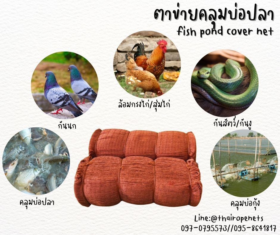 ตาข่ายคลุมบ่อปลา fish pond cover net ตาข่ายกระชังปลา ผสมสารป้องกัน UV-Protection ทนแดด ทนฝน ทนแรงดึง พร้อมส่ง