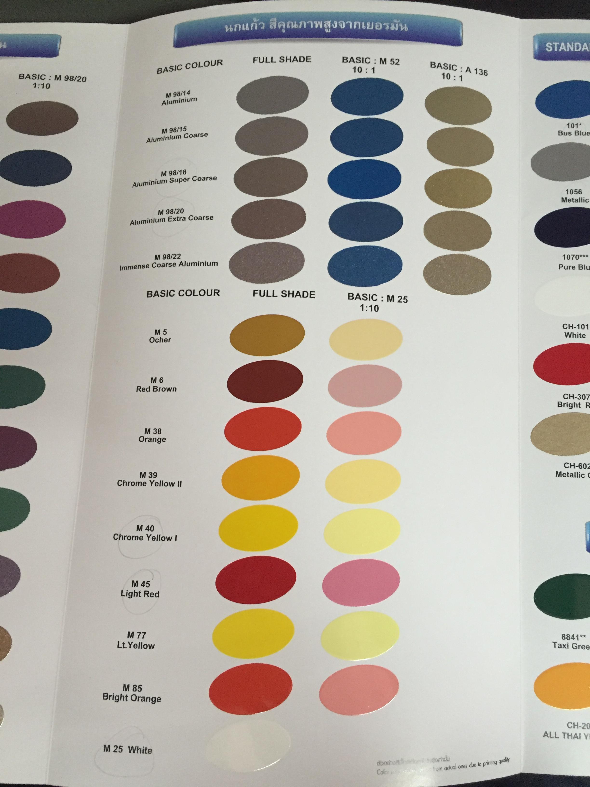 สีพ่น นกแก้ว 101