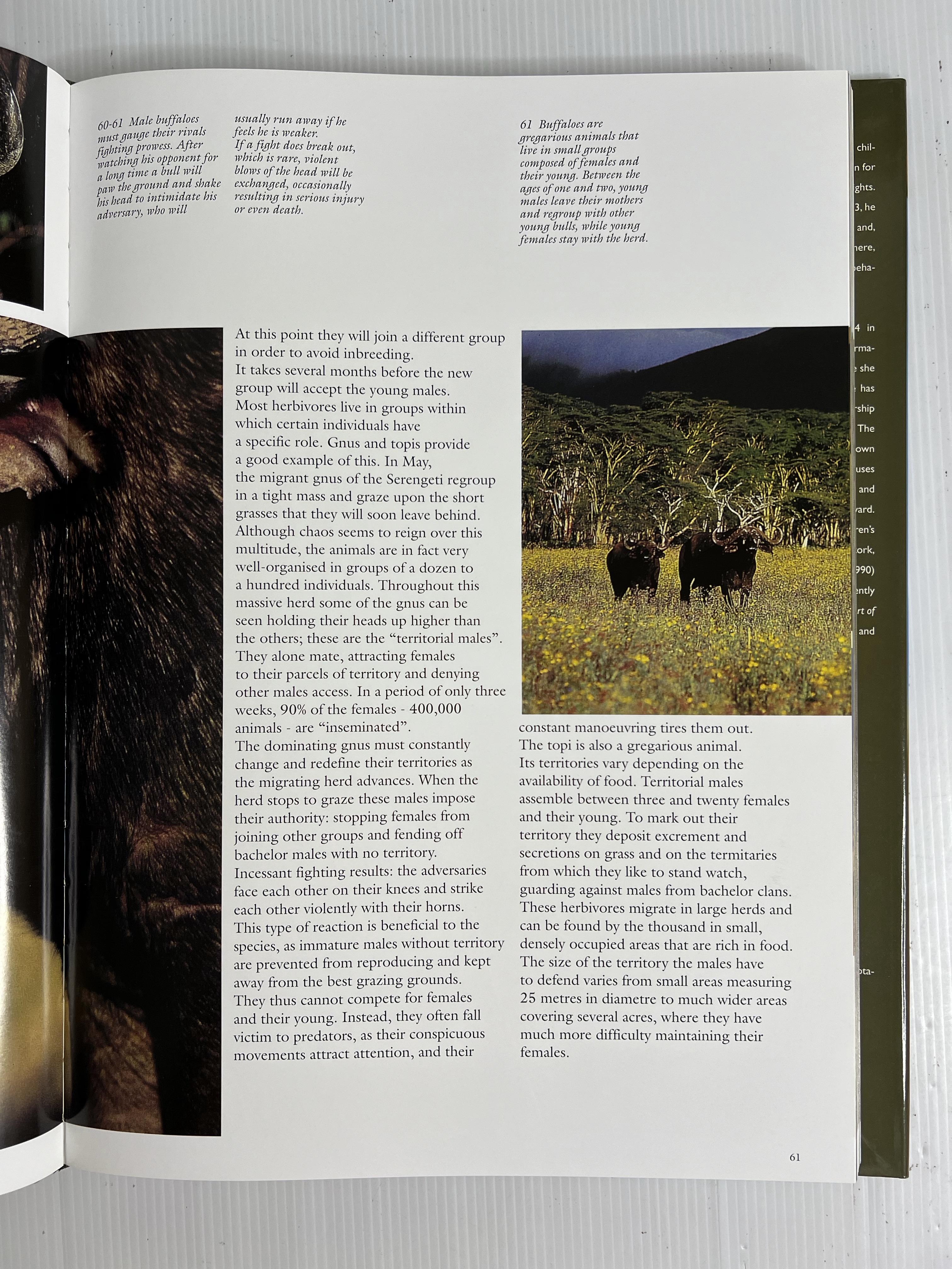 Safari in Wildest Africa Michel Denis-Huot September 7, 2010 90-99% Hardcover
