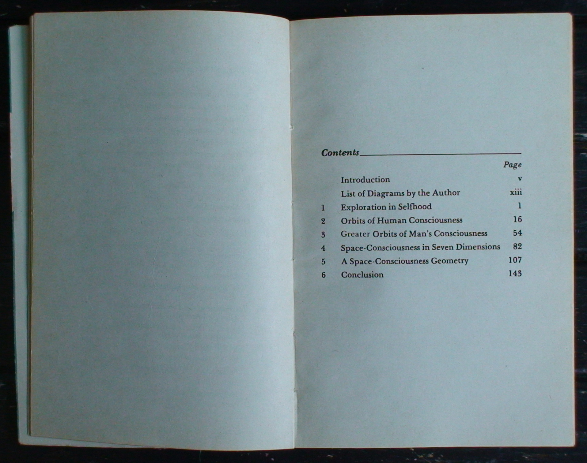 A Geometry of Space-Consciousness