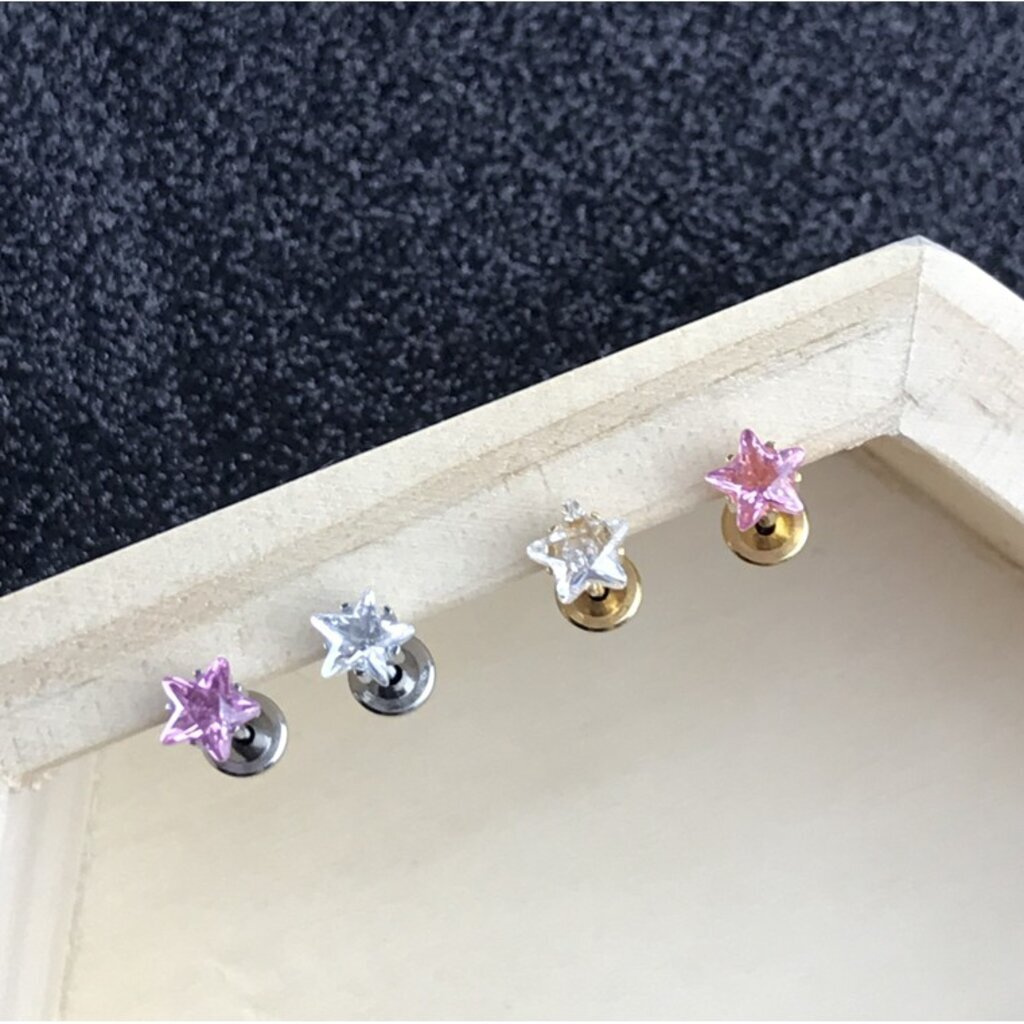 (ส่งฟรี!) ต่างหูสำหรับผิวแพ้ง่ายแป้นตัน สแตนเลสเกรดการแพทย์ ปลอดภัย 100% Starcut 5mm