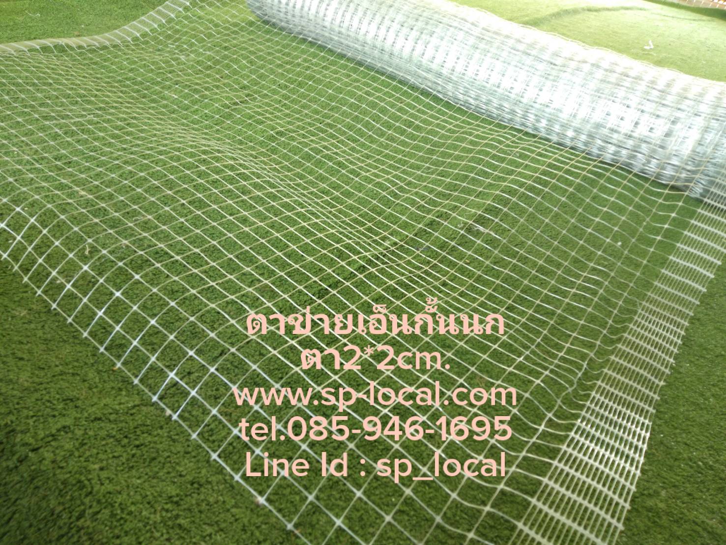 ตาข่ายเอ็นกันนก สีใส