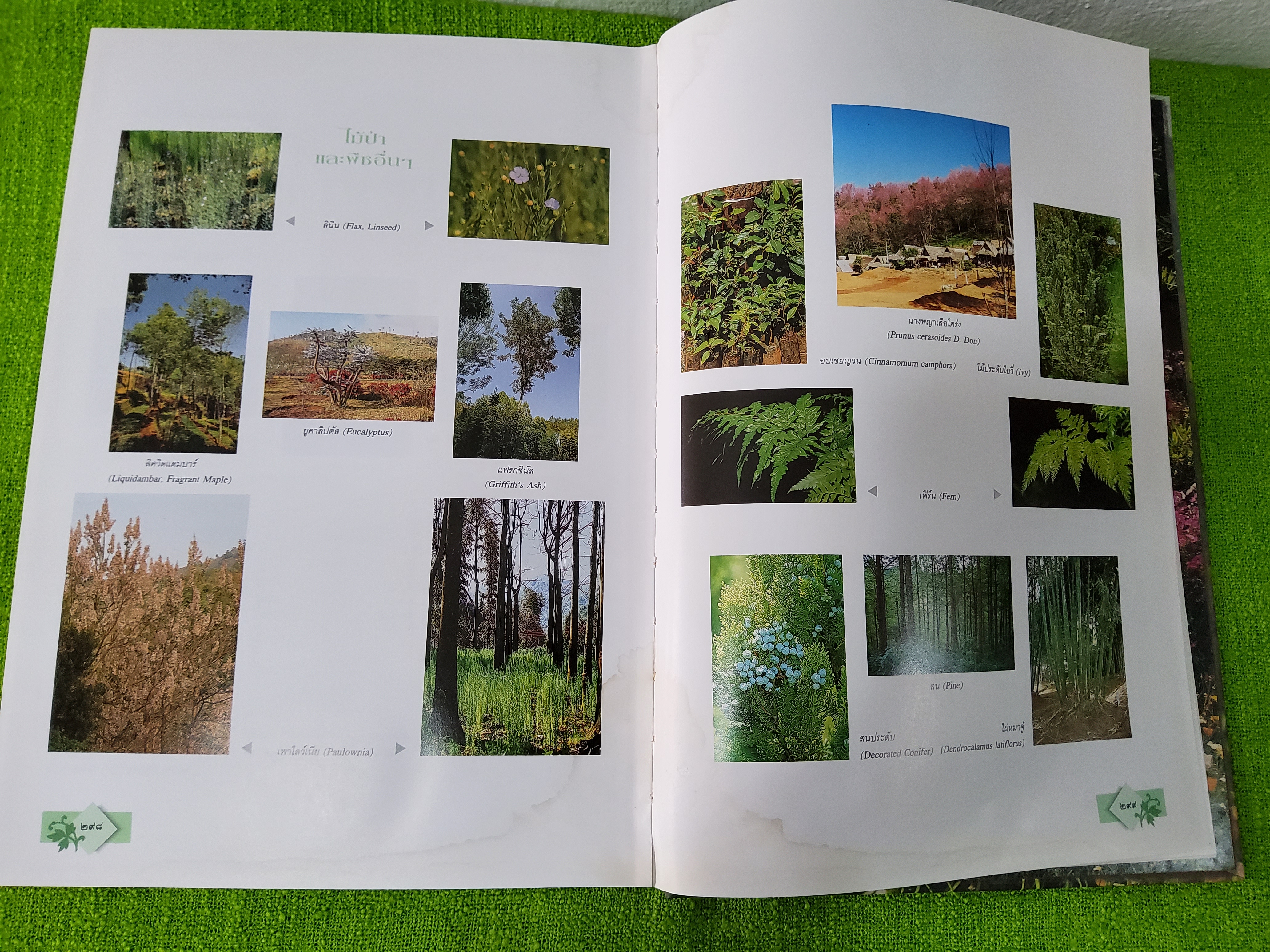 ประพาสต้นบนดอย ที่ระลึกเนื่องในมหามงคลสมัยฉลองสิริราชสมบัติ ครบ 50 ปี 2539