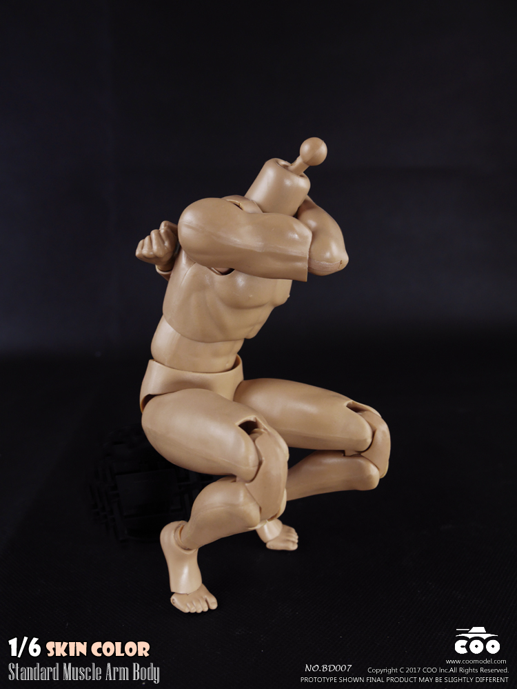 COOMODEL BD007 / BD008 Standard & High Standard Muscle Arm Body