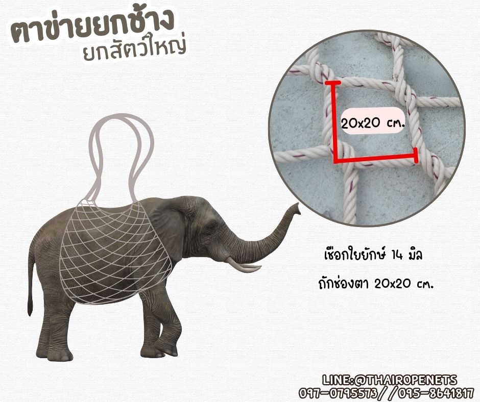 ตาข่ายยกช้าง ตาข่ายเคลื่อนย้ายสัตว์ Carring Bag เชือกใยยักษ์ถัก รับแรงดึงได้มากถึง 4,000 กก. รับทำตามขนาดที่ต้องการ