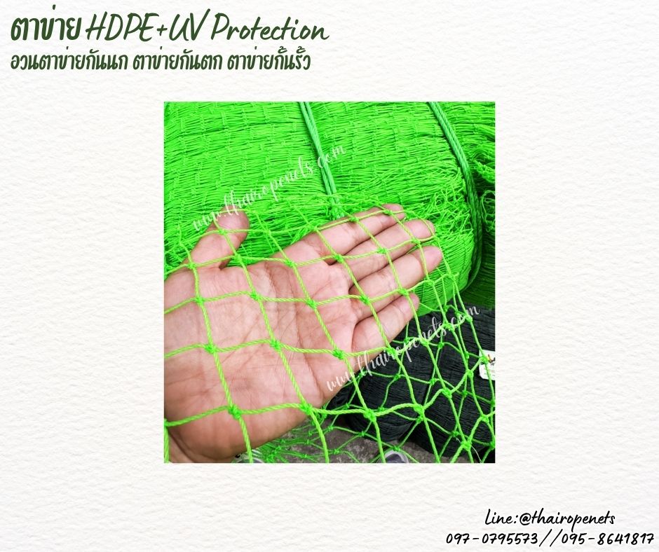 ตาข่ายอวนล้อมเขต สีเขียว เชือกหนา 1.5 มิลช่องตา 1x1 นิ้ว ตาข่าย HDPE เคลือบสารป้องกัน UV ขนาดยกม้วน 10x25 เมตร
