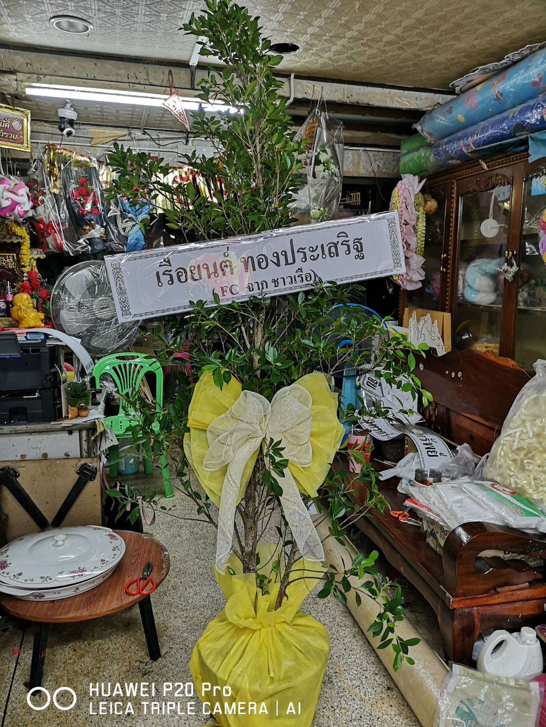 พวงหรีดต้นไม้ ไทรเกาหลี ขนาดสูง 2 เมตร พร้อมประดับชื่อ