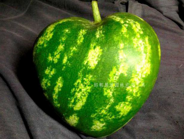 OT35A4 แม่พิมพ์บังคับผลไม้รูปหัวใจ 17x17 cm ขนาดใหญ่