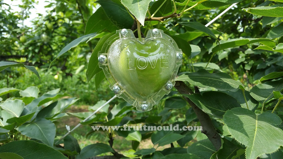 OT35A6 แม่พิมพ์บังคับผลไม้รูปหัวใจ 9x9x6 CM ผลไม้ขนาดกลาง
