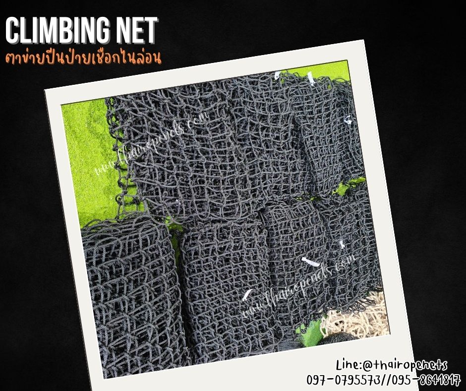 climbing net ตาข่ายปีนป่ายเชือกไนล่อนถัก สีดำ รุ่นหนา 8 มิล ช่องตา 10x10 cm. ทนต่อแรงดึงแรงกระแทกได้ดีมาก รับทำตามขนาดที่ต้องการ