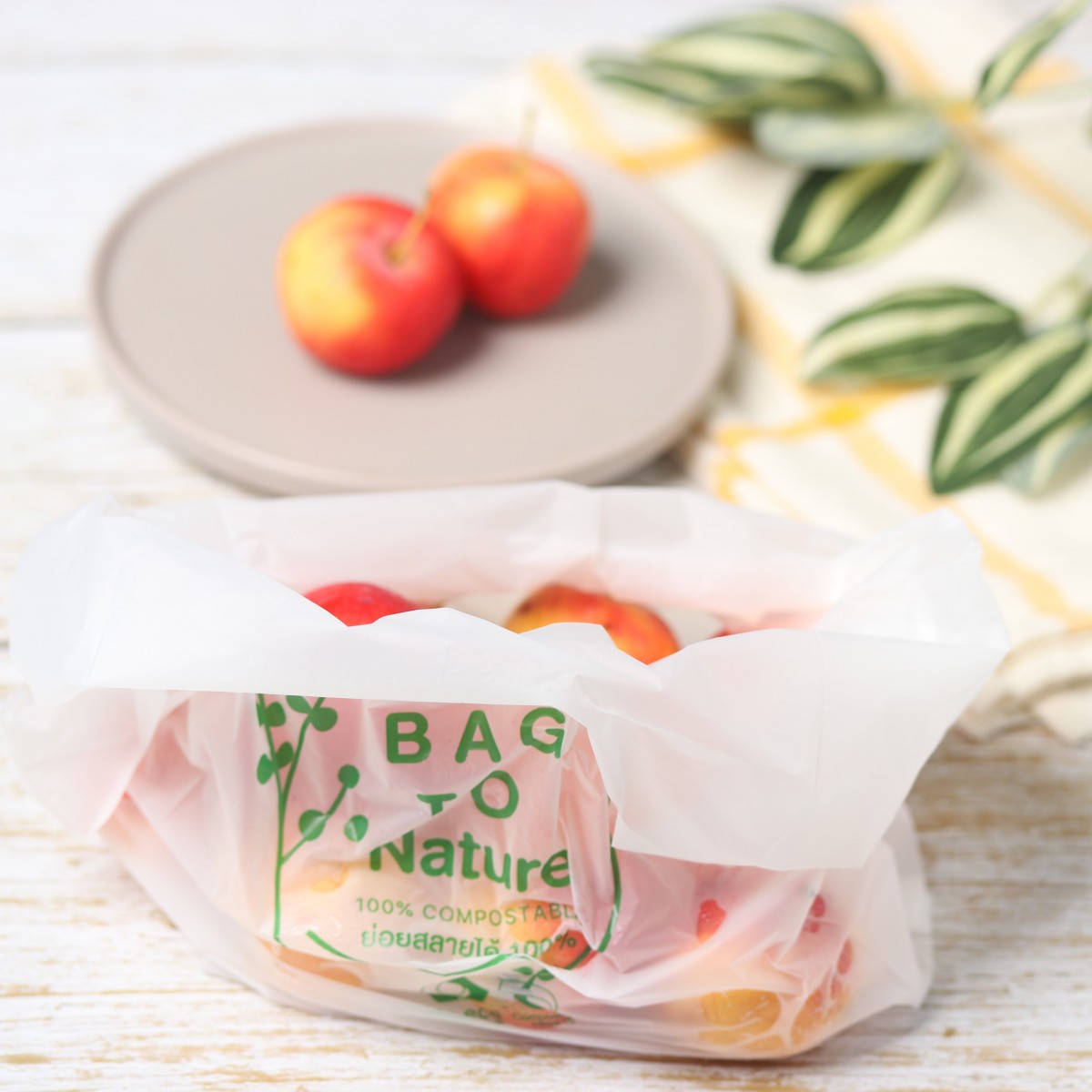 ถุงหูหิ้วไบโอ