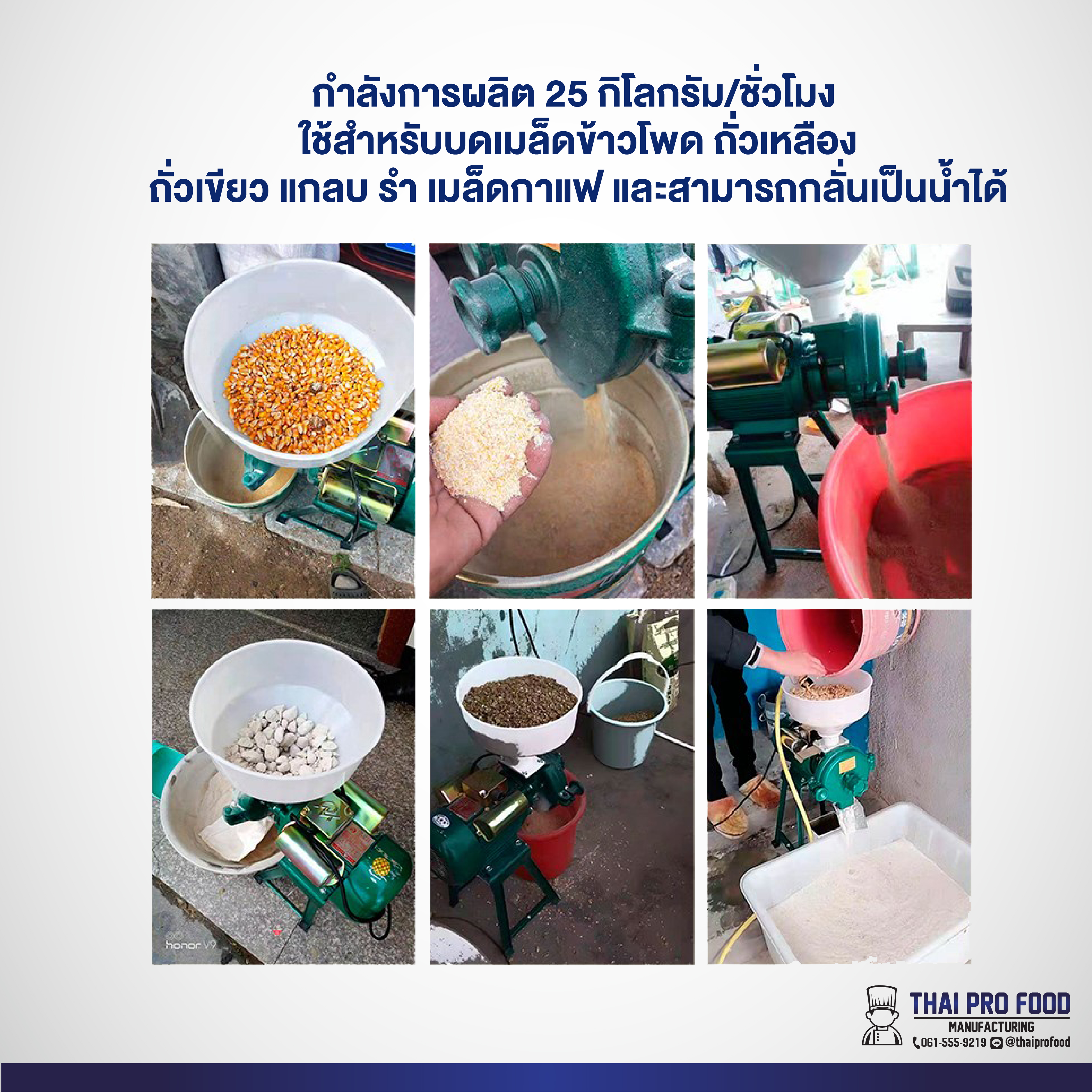 เครื่องบดอาหารปลา อาหารสัตว์