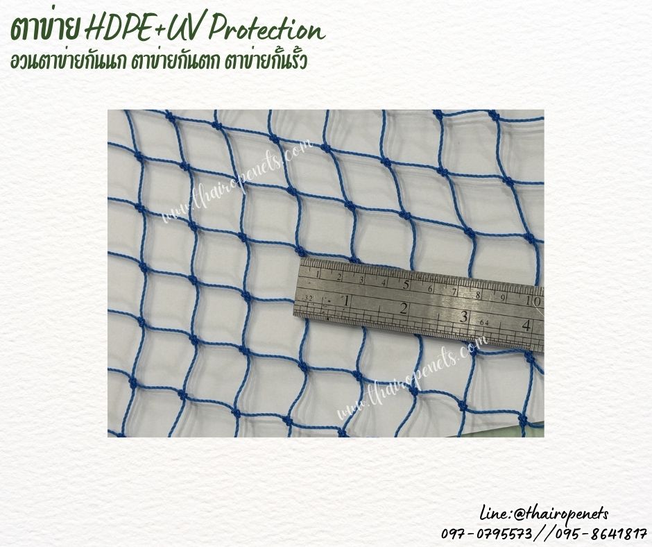 ตาข่ายอวนล้อมแปลงผัก สีฟ้า เชือกหนา 1.5 มิลช่องตา 1x1 นิ้ว ตาข่าย HDPE เคลือบสารป้องกัน UV ขนาดยกม้วน 10x25 เมตร