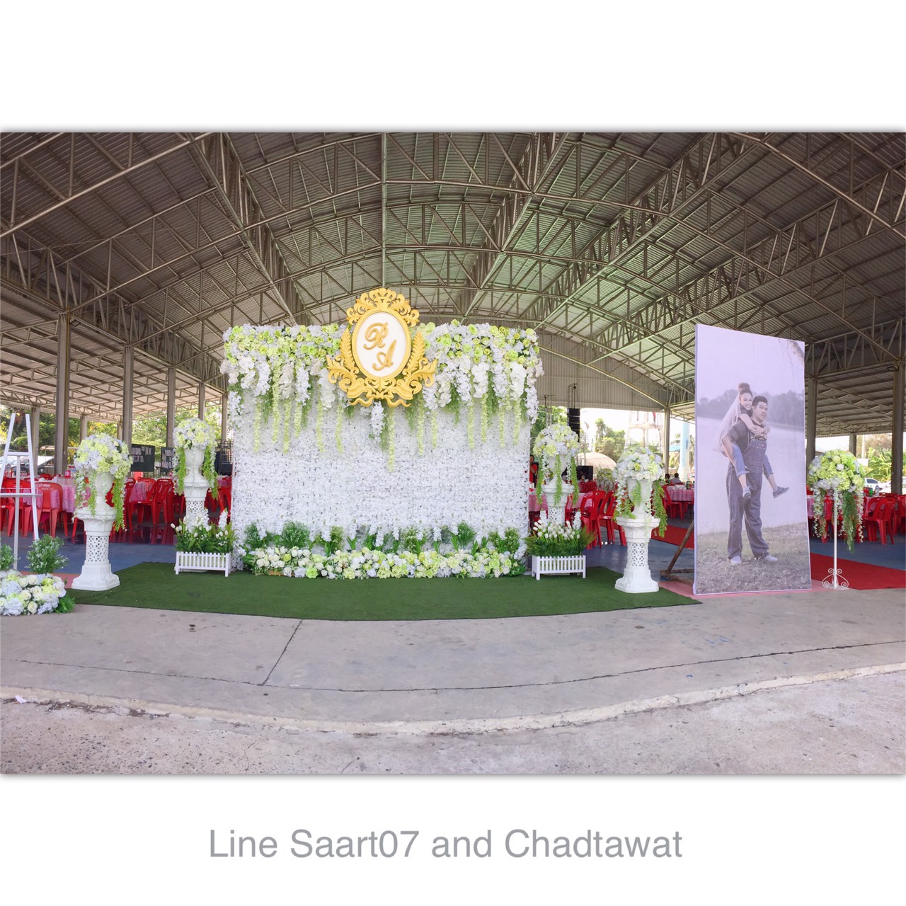Backdrop ไฮเดรนเยียขาว